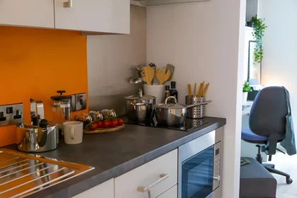 Dairenin tamamı Ikamet yerinde konumu 123 York St, Belfast BT15 1AS, United Kingdom , 12 13 görüntüsü