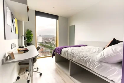 Dairenin tamamı Ikamet yerinde konumu 123 York St, Belfast BT15 1AS, United Kingdom , 8 13 görüntüsü