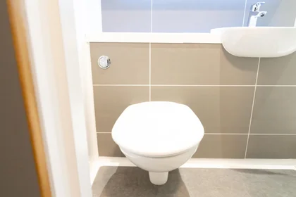Özel oda Ikamet yerinde konumu 20 Traffic St, Nottingham NG2 1NE, United Kingdom, 37 49 görüntüsü