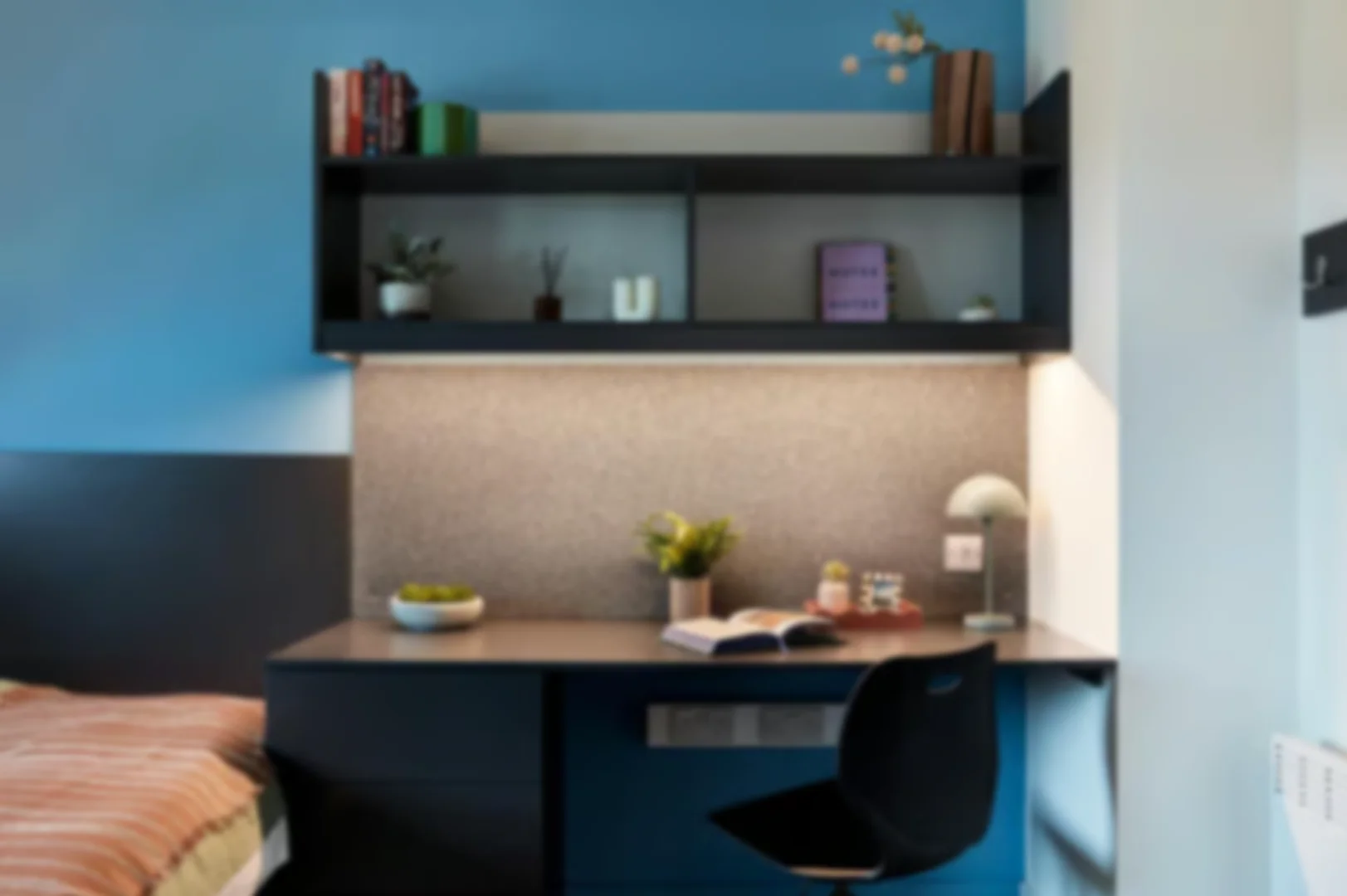 Affordable room for students with ample lighting in