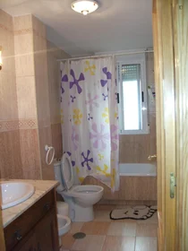 Chambre privée à Camino de Ronda, image 11 de 14