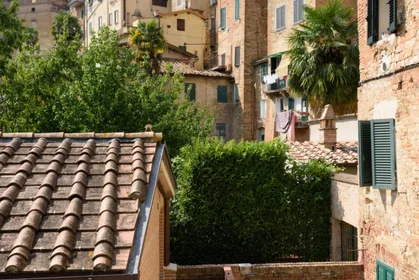 Entire apartment at Vicolo Ugurgieri, image 16 of 17