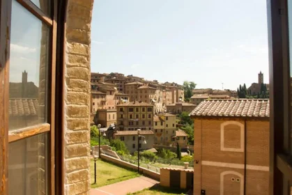Entire apartment at Vicolo Ugurgieri, image 10 of 17