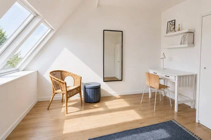 Stanza privata in Strasbourg, 67200, immagine 6 di 24