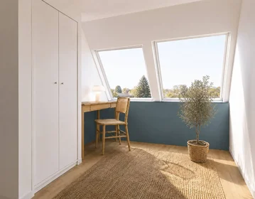 Stanza privata in Strasbourg, 67200, immagine 10 di 24