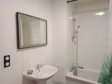 Prywatny pokój Angers, 49100, obraz 21 23