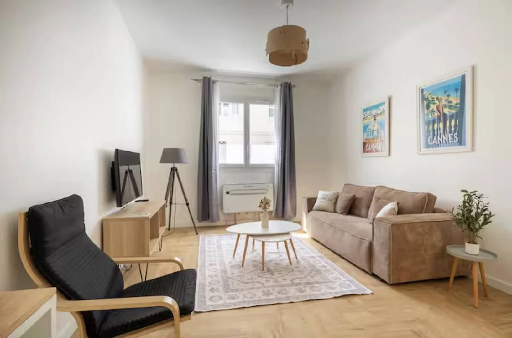Affordable room for students with ample lighting in 