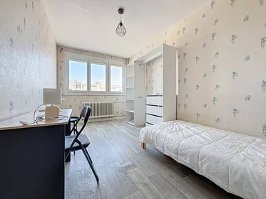 Privatzimmer in der Orléans, 45100, bild 1 von 7