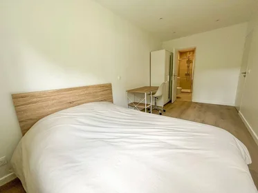 Habitación privada en Noisy-le-grand, 93160, imagen 11 de 18