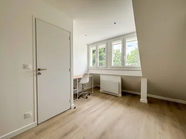 Habitación privada en Noisy-le-grand, 93160, imagen 16 de 18