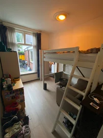 Prywatny pokój Rietmolenstraat, obraz 1 6