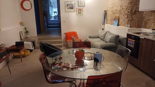 Gesamte Unterkunft in der Rue Barthélémy, bild 4 von 22
