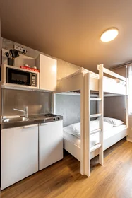 Apartamento inteiro em Bodenseestraße, imagem 13 de 17