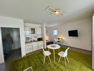 Apartamento inteiro em Striepens Weg, imagem 2 de 17