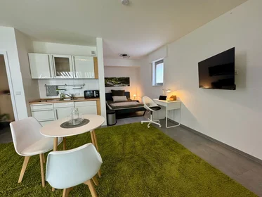Apartamento inteiro em Striepens Weg, imagem 9 de 17