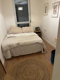 Stanza privata in Avinguda Mèxic, immagine 17 di 37