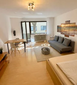 Appartamento intero in Wentzingerstraße, immagine 1 di 10