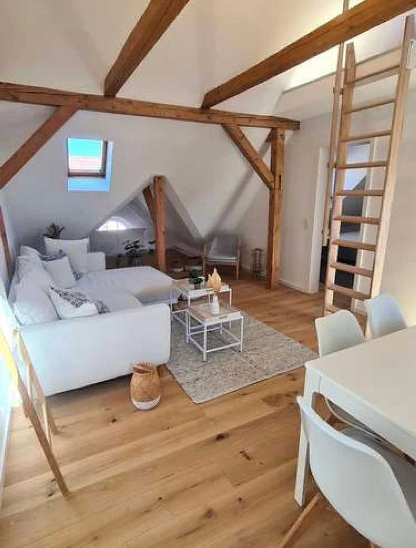 Minimalist student studio in  with efficient layout