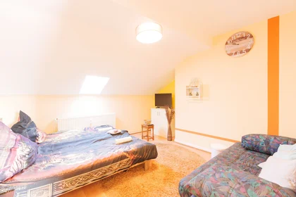 Privatzimmer in der Sternbuschweg, bild 2 von 28