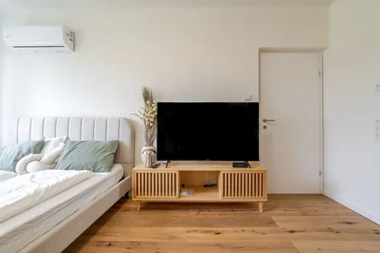 Chambre privée à Johann-Sebastian-Bach-Gasse, image 17 de 34