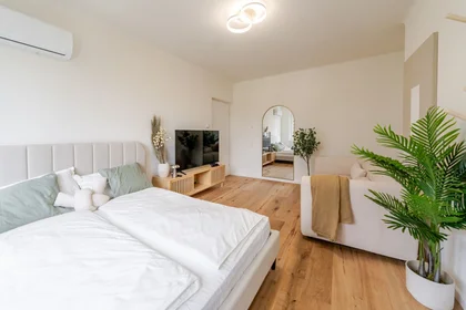 Chambre privée à Johann-Sebastian-Bach-Gasse, image 28 de 34