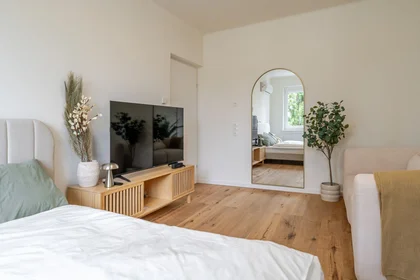 Chambre privée à Johann-Sebastian-Bach-Gasse, image 7 de 34