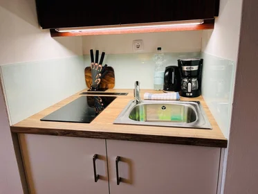 Chambre privée à Münzgrabenstraße, image 12 de 24