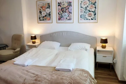 Chambre privée à Münzgrabenstraße, image 15 de 24