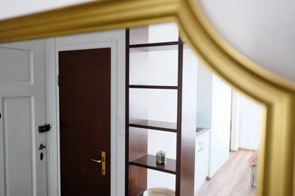 Chambre privée à Münzgrabenstraße, image 16 de 24