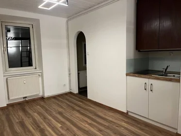 Chambre privée à Münzgrabenstraße, image 19 de 24