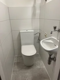 Chambre privée à Münzgrabenstraße, image 20 de 24