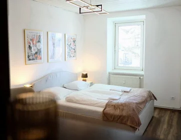 Chambre privée à Münzgrabenstraße, image 22 de 24