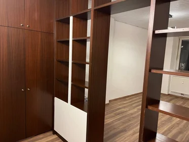 Chambre privée à Münzgrabenstraße, image 6 de 24