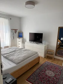 Entire apartment at Manfred-von-Richthofen-Straße, image 11 of 16