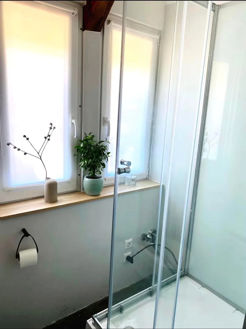 Budget-friendly student room close to campus in 