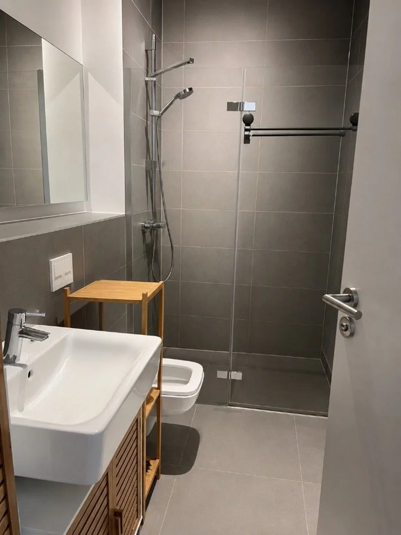 Affordable room for students with ample lighting in 