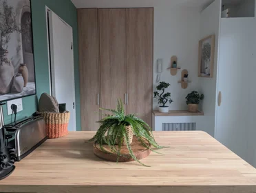 Logement entier à Rue Vantroyen, image 14 de 23