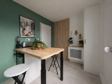 Logement entier à Rue Vantroyen, image 17 de 23