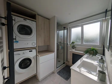 Logement entier à Rue Vantroyen, image 22 de 23
