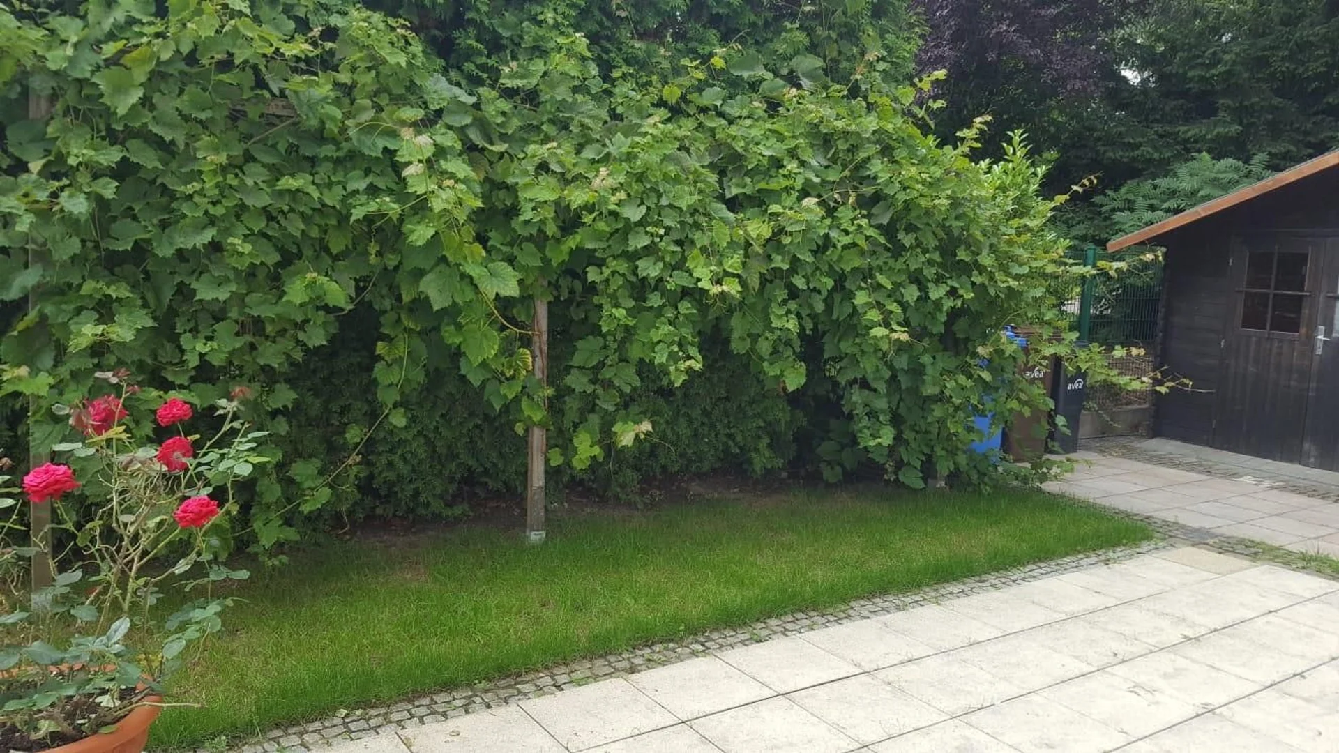 Chambre confortable pour étudiants disponible dans 