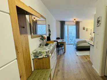 Entire apartment at Rehlingstraße, image 1 of 20