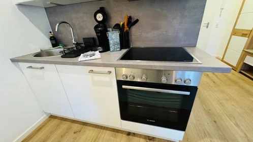 Entire apartment at Rehlingstraße, image 11 of 20