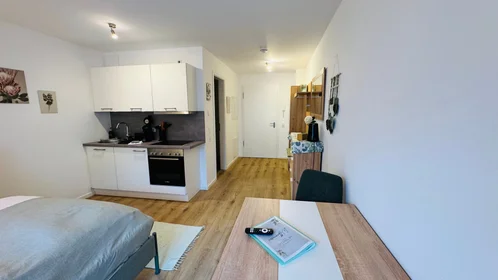 Entire apartment at Rehlingstraße, image 15 of 20