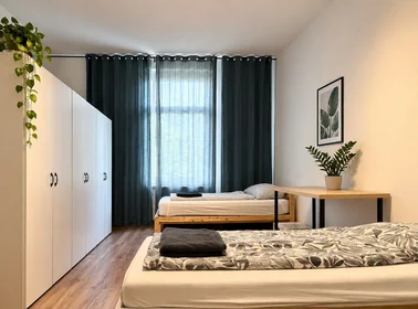 Appartamento intero in Weseler Straße, immagine 2 di 13