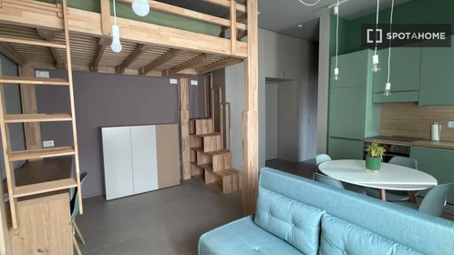 Estudio en Viale Monte Ceneri, imagen 4 de 16