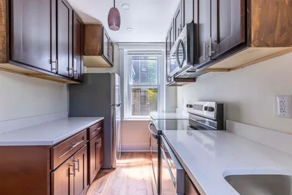 Logement entier en résidence à 94, Hutchings, Unit 4, Dorchester, Boston, MA, 02121, image 12 de 24