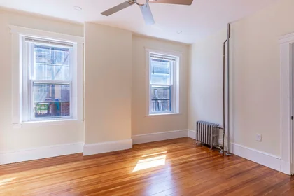 Logement entier en résidence à 94, Hutchings, Unit 4, Dorchester, Boston, MA, 02121, image 16 de 24