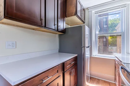 Logement entier en résidence à 94, Hutchings, Unit 4, Dorchester, Boston, MA, 02121, image 17 de 24