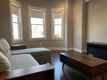 Logement entier en résidence à 8, Chestnut Ave., Unit 1, Jamaica Plain, Boston, MA, 02130, image 3 de 16