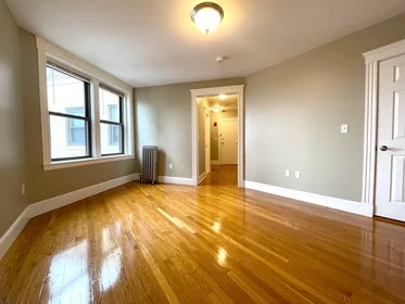 Studio en résidence à 660, Huntington Ave., Unit 39, Mission Hill, Boston, MA, 02115, image 11 de 21